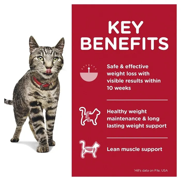 Box Hills Adult Perfect Weight Chicken 85g Pouches x 12