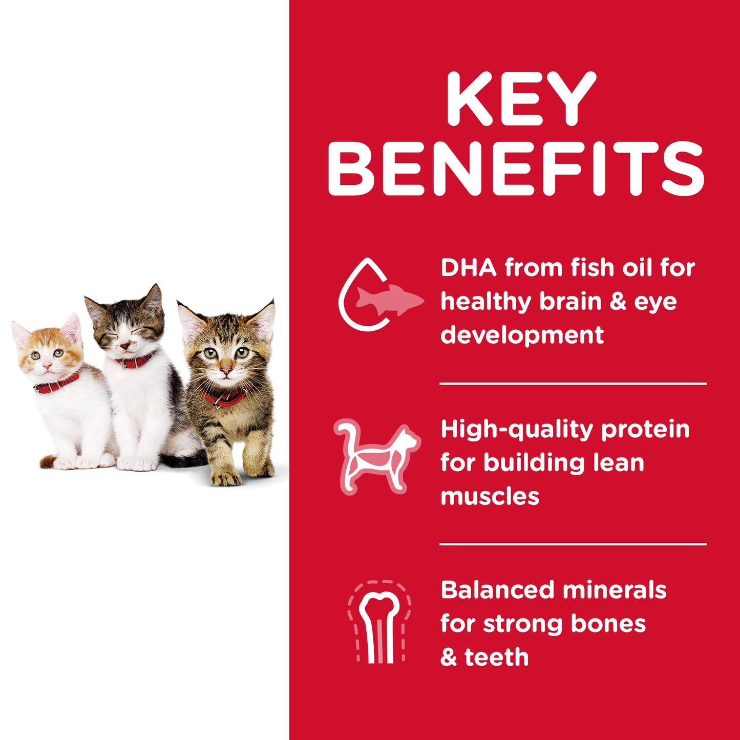 Hills Science Diet Kitten 1.58kg
