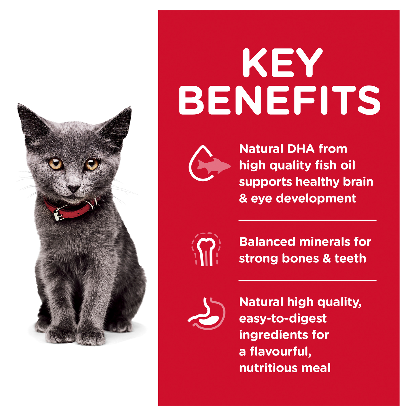 Hills Science Diet Kitten Indoor 1.58kg
