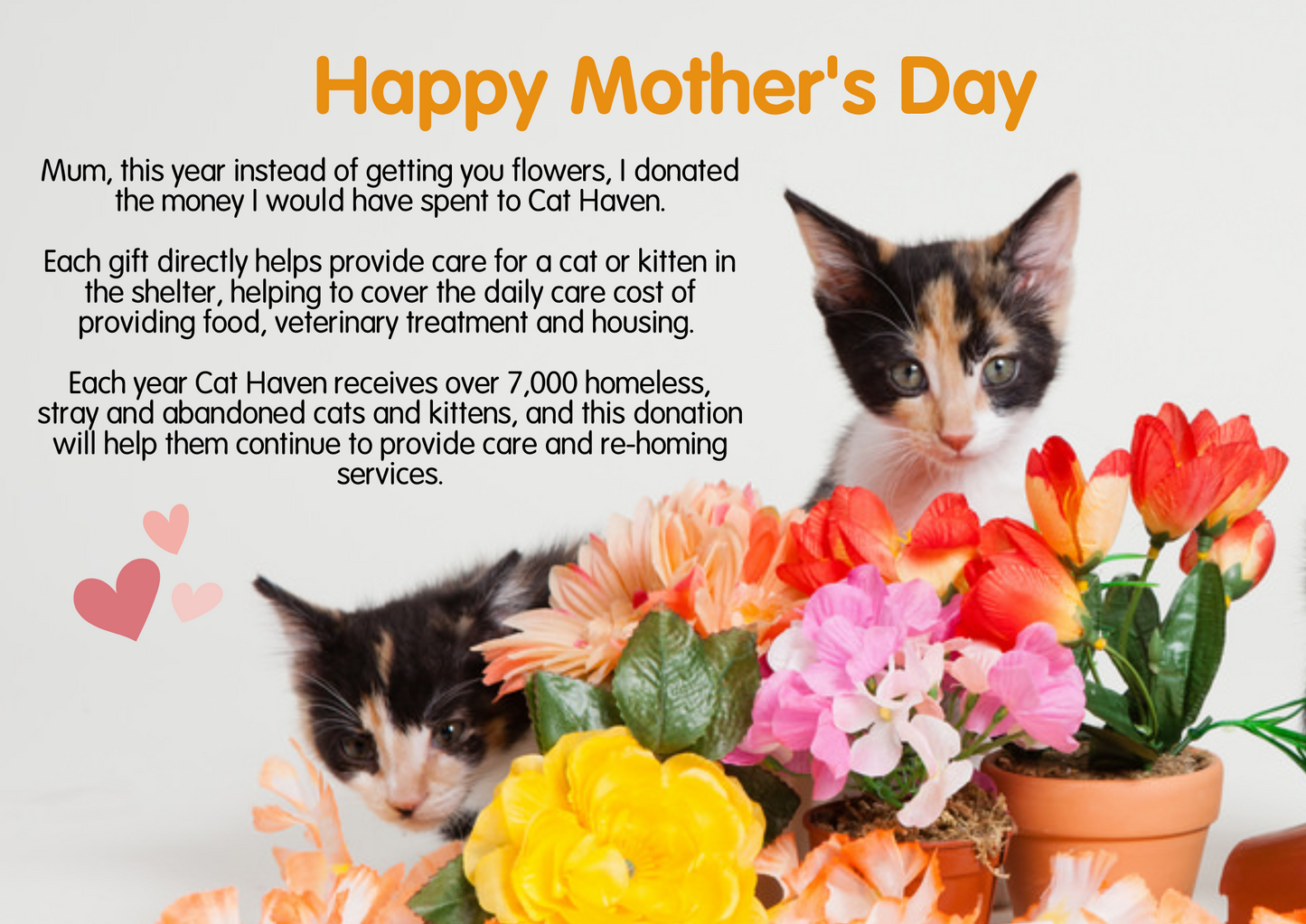Mother's Day Gift In Lieu