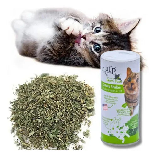 afp Catnip Shaker 50gm