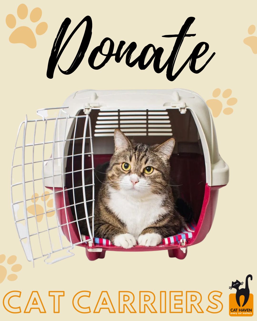 Pets Cats To Give Away Near Me Animal Shelters In Need Of
