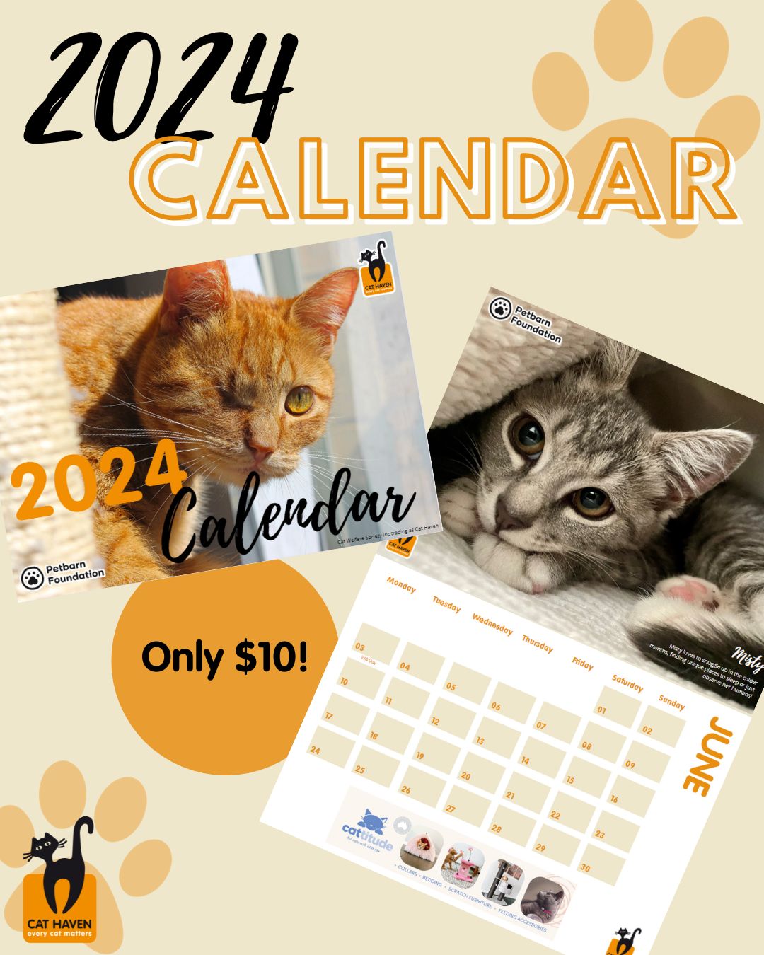 Cat Haven 2024 Calendar