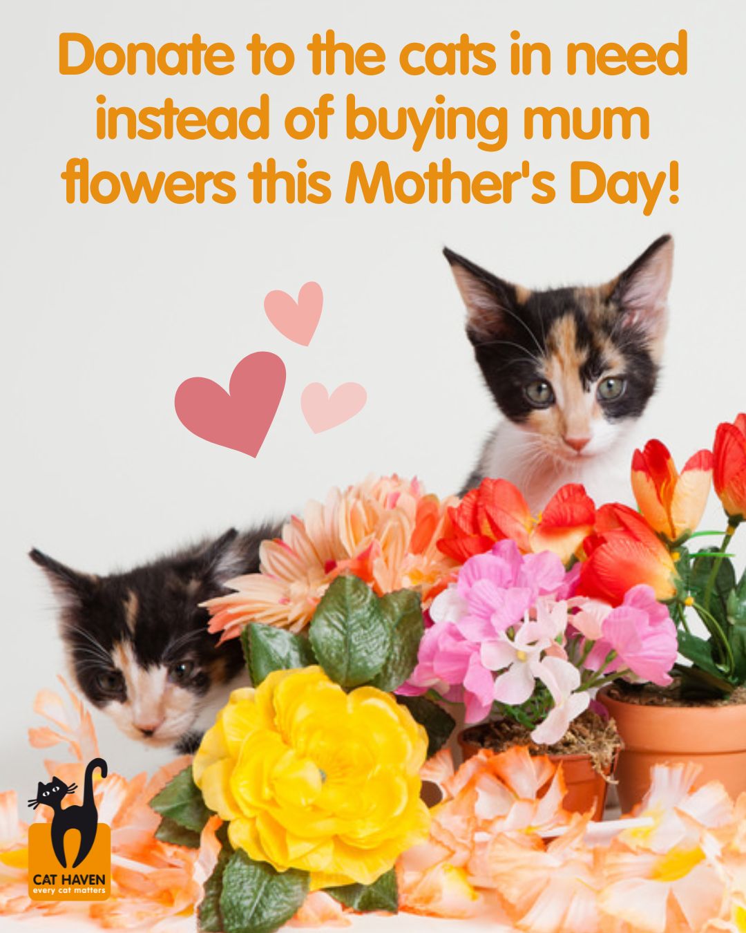 Mother's Day Gift In Lieu