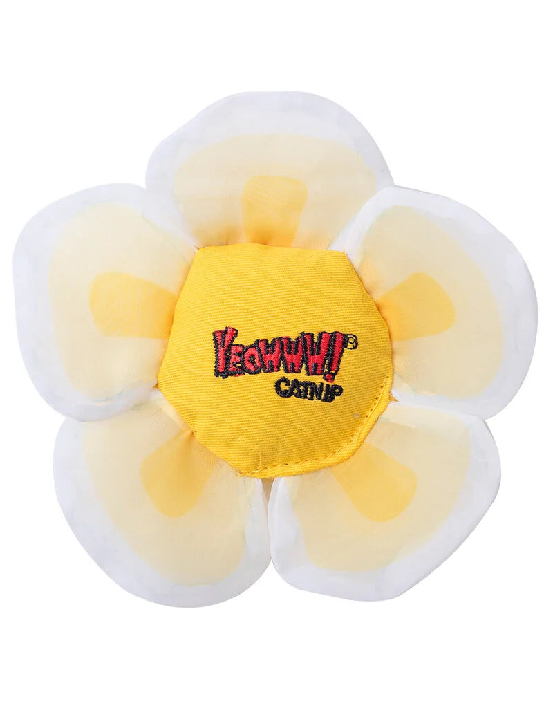 Yeowww! Daisy Flower Catnip