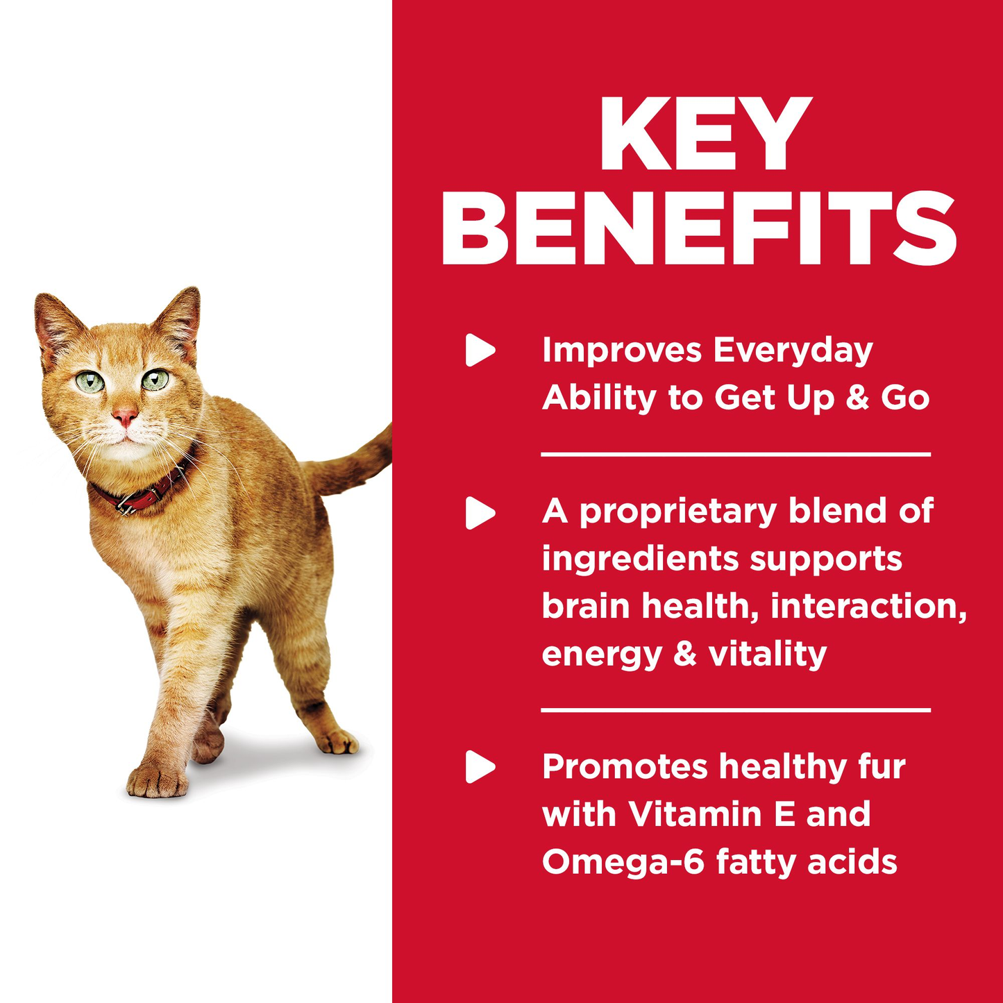 Hill's Science Diet Senior Vitality 7+ - Cat Food