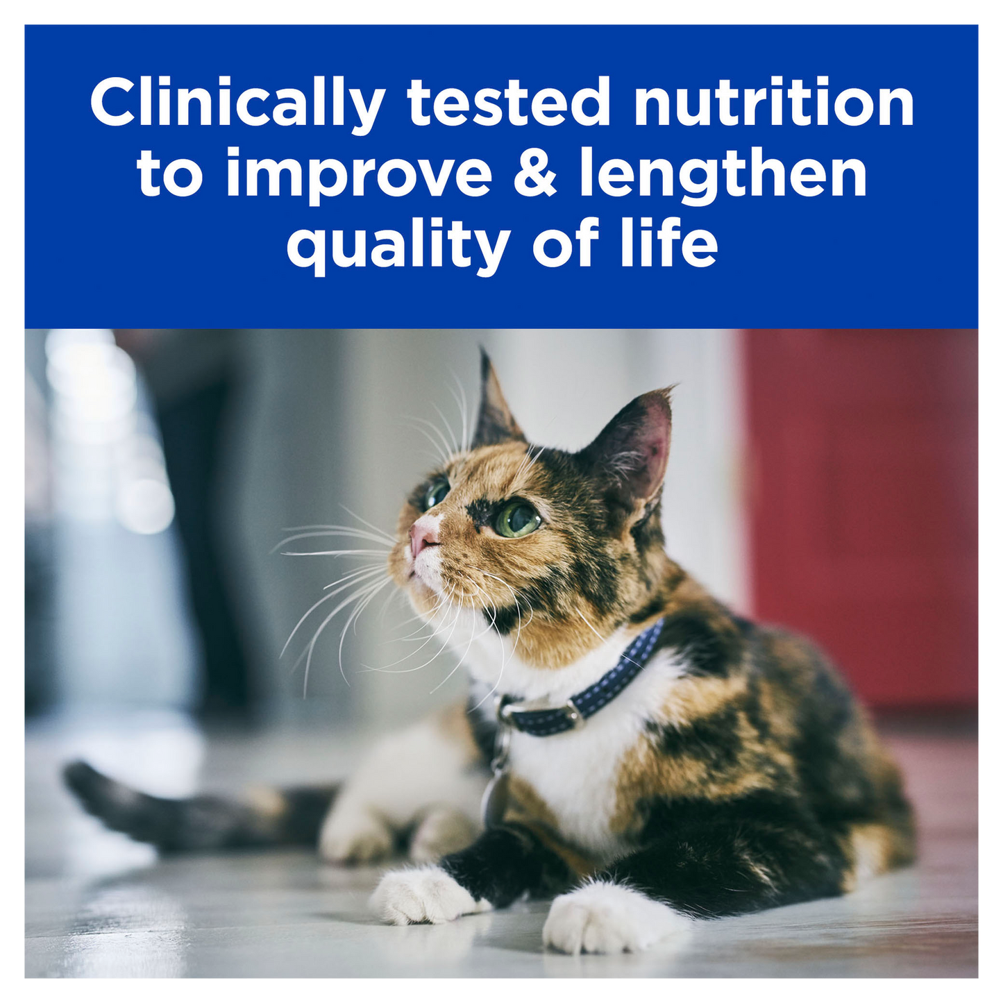 Box Hills K/d Chicken 85g Pouches x 12