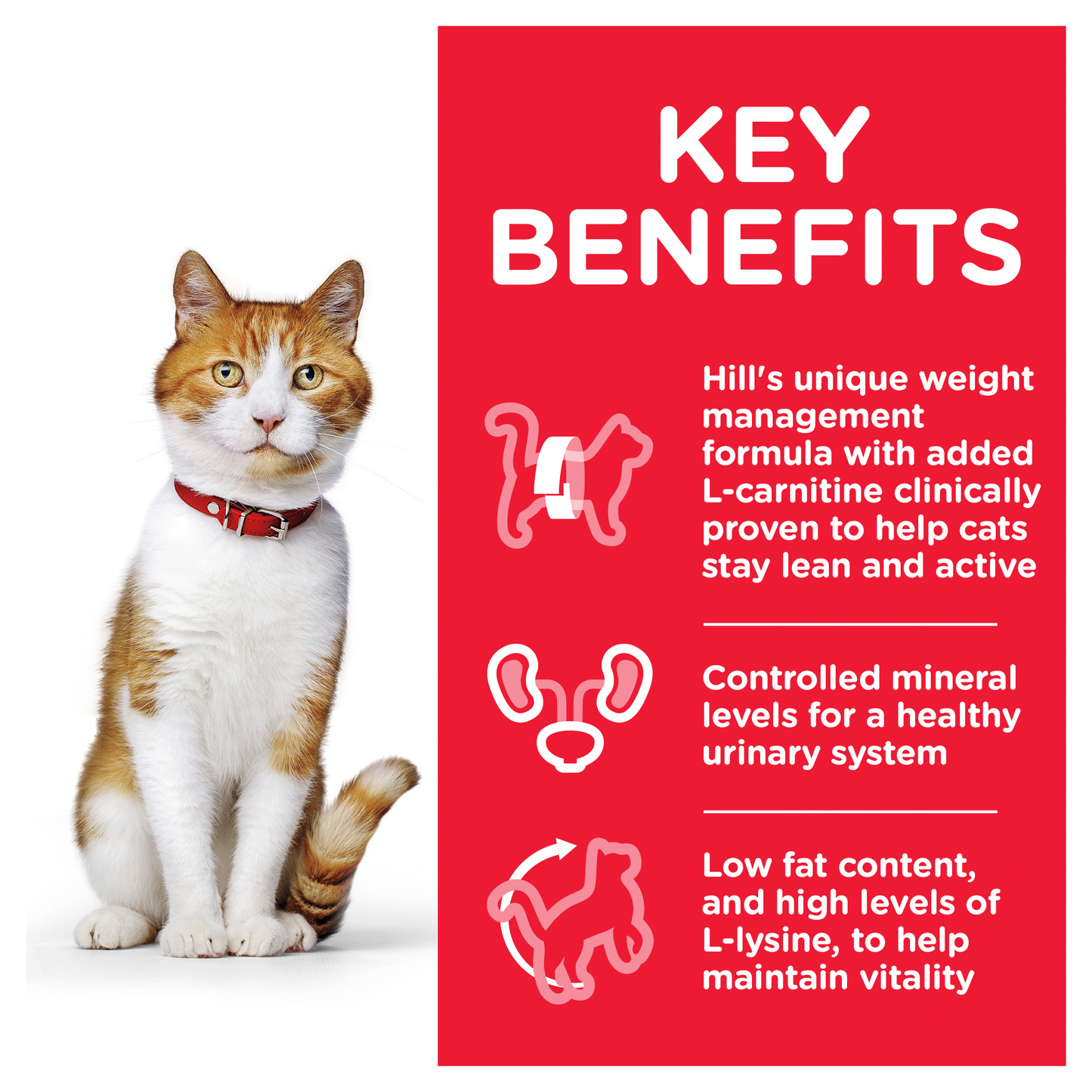 Hill's Science Diet Neutered Cat Pouch 12x85g - Cat Food