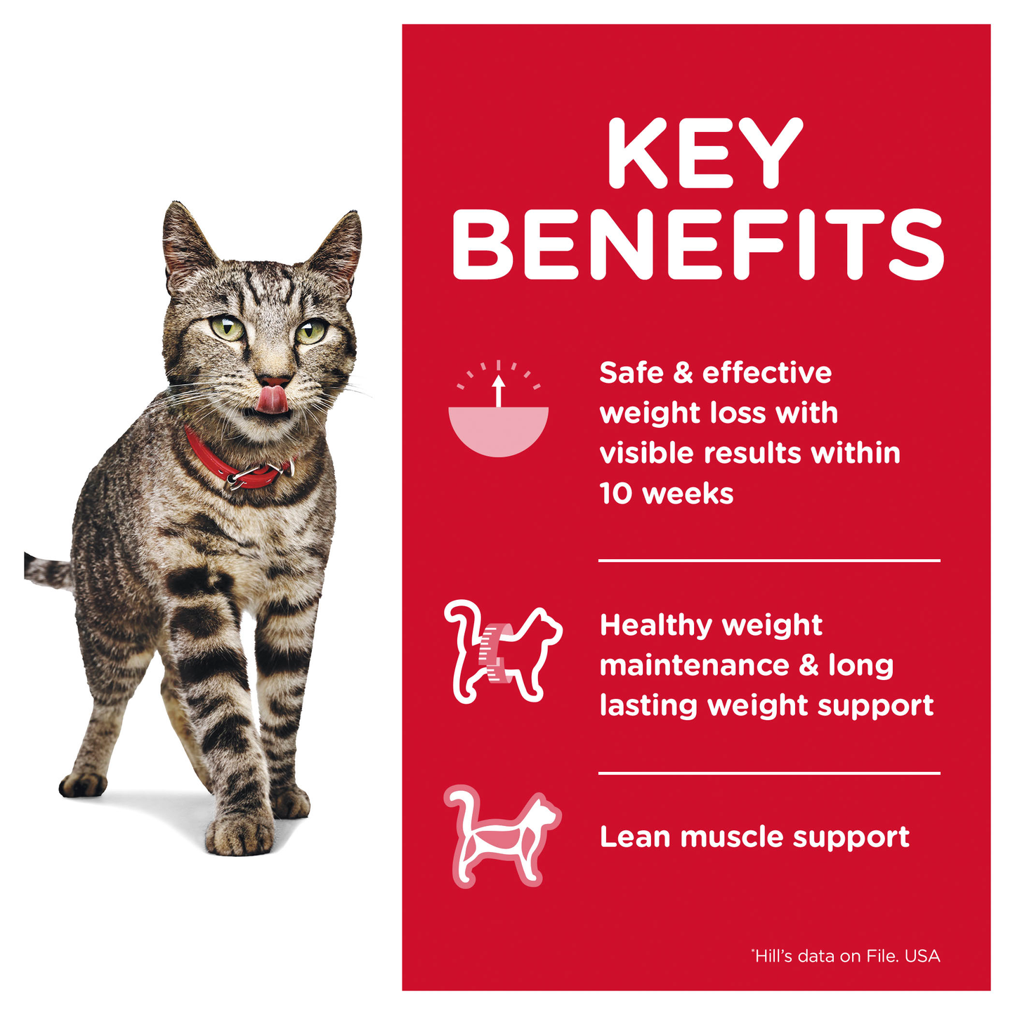 Hill's Science Diet Perfect Weight Pouch 12x85g- Cat Food