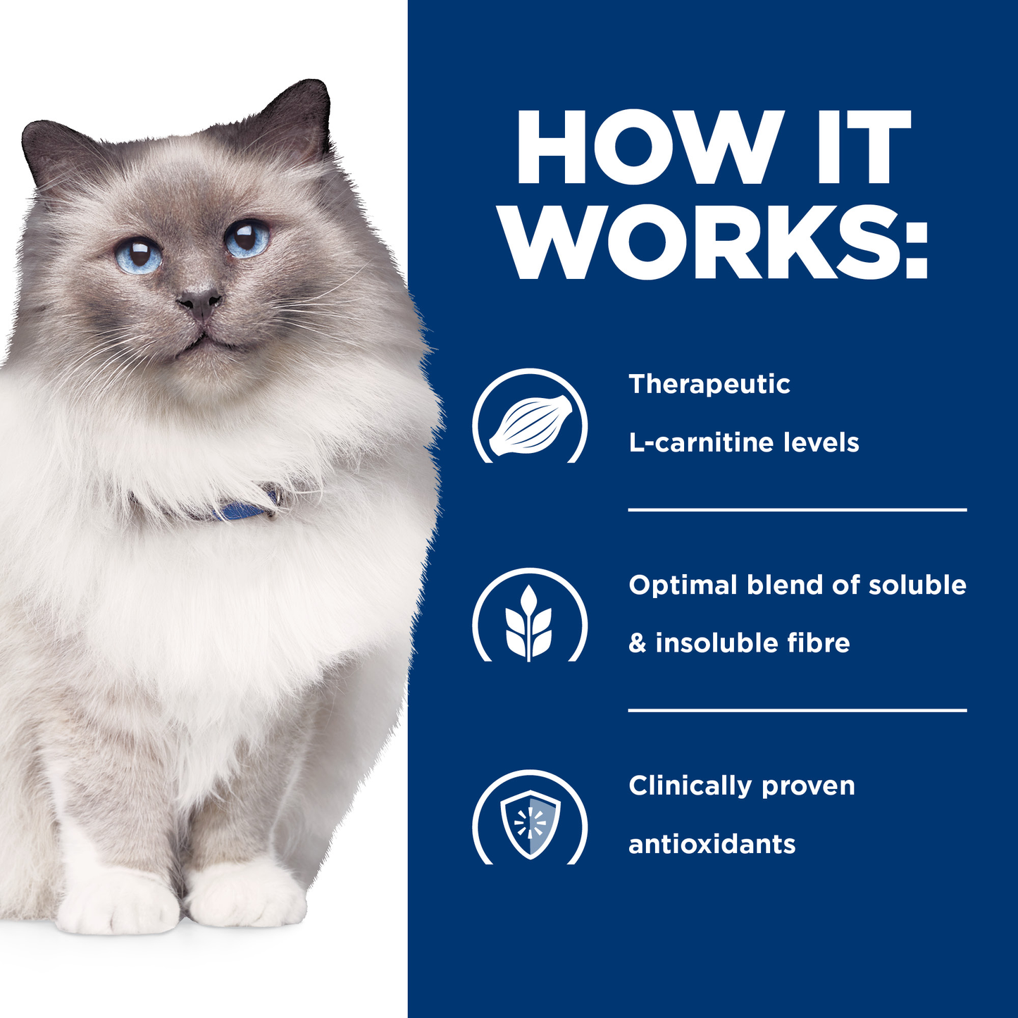 Hills Prescription Diet R/D - Cat Food
