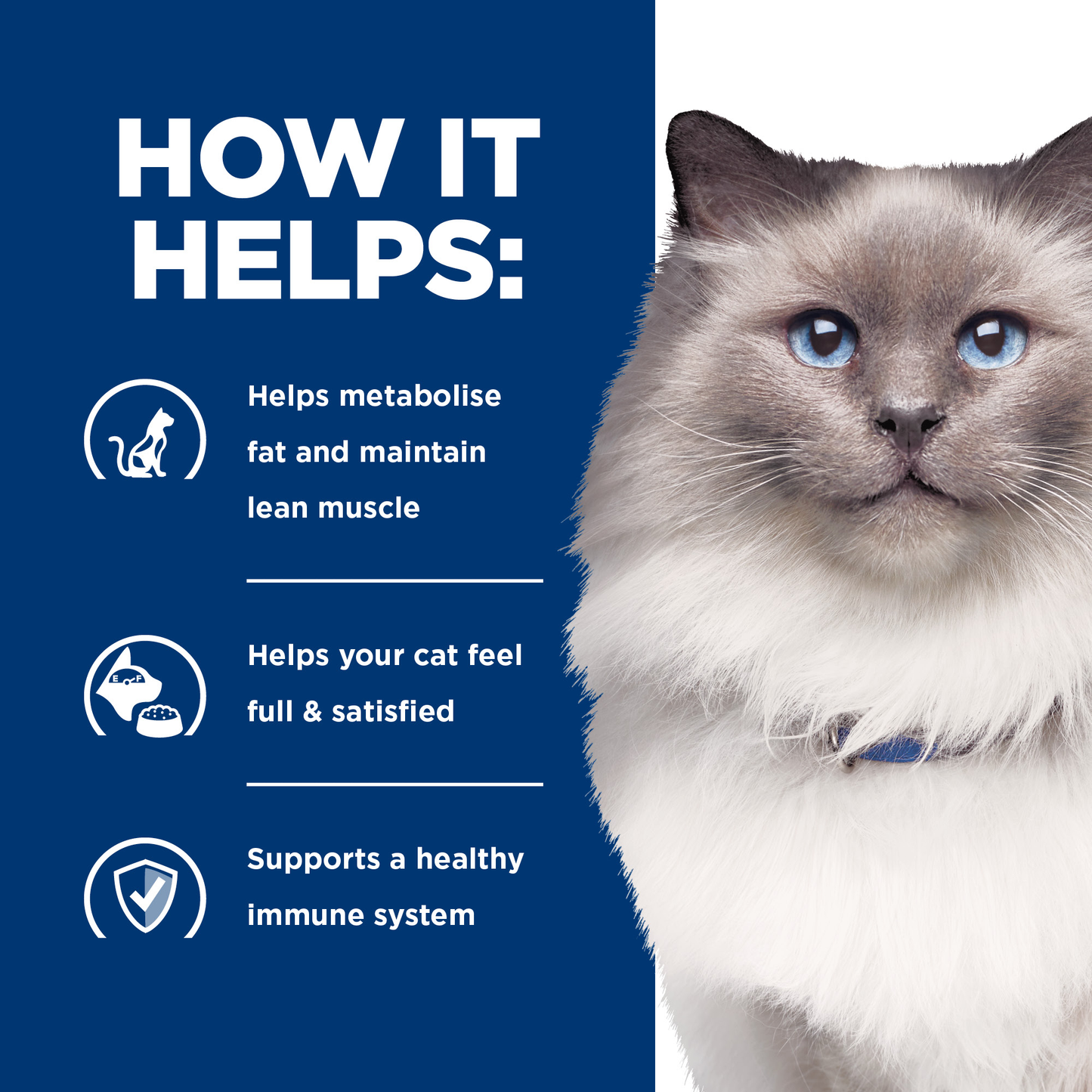 Hills Prescription Diet R/D - Cat Food