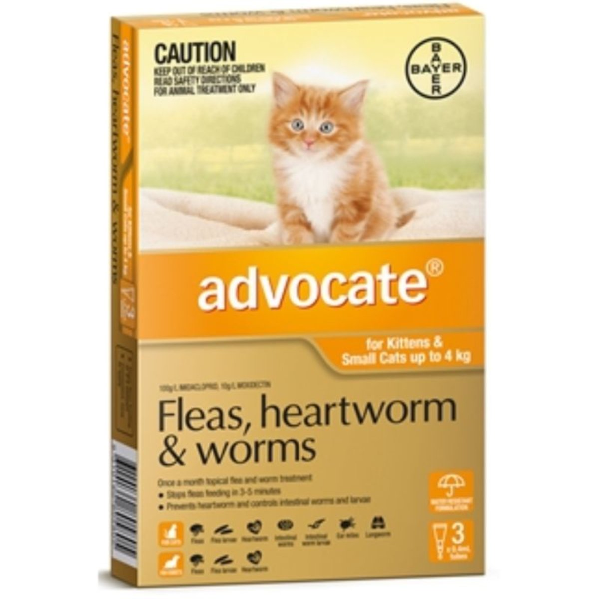 advocate cat flea treatment cat toys, cat boarding Perth, Cat Haven, Perth, cat food, cat products, lost & found cats