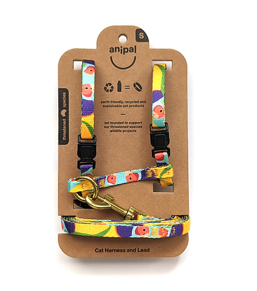 Gigi the Gouldian Finch Cat Harness & Lead