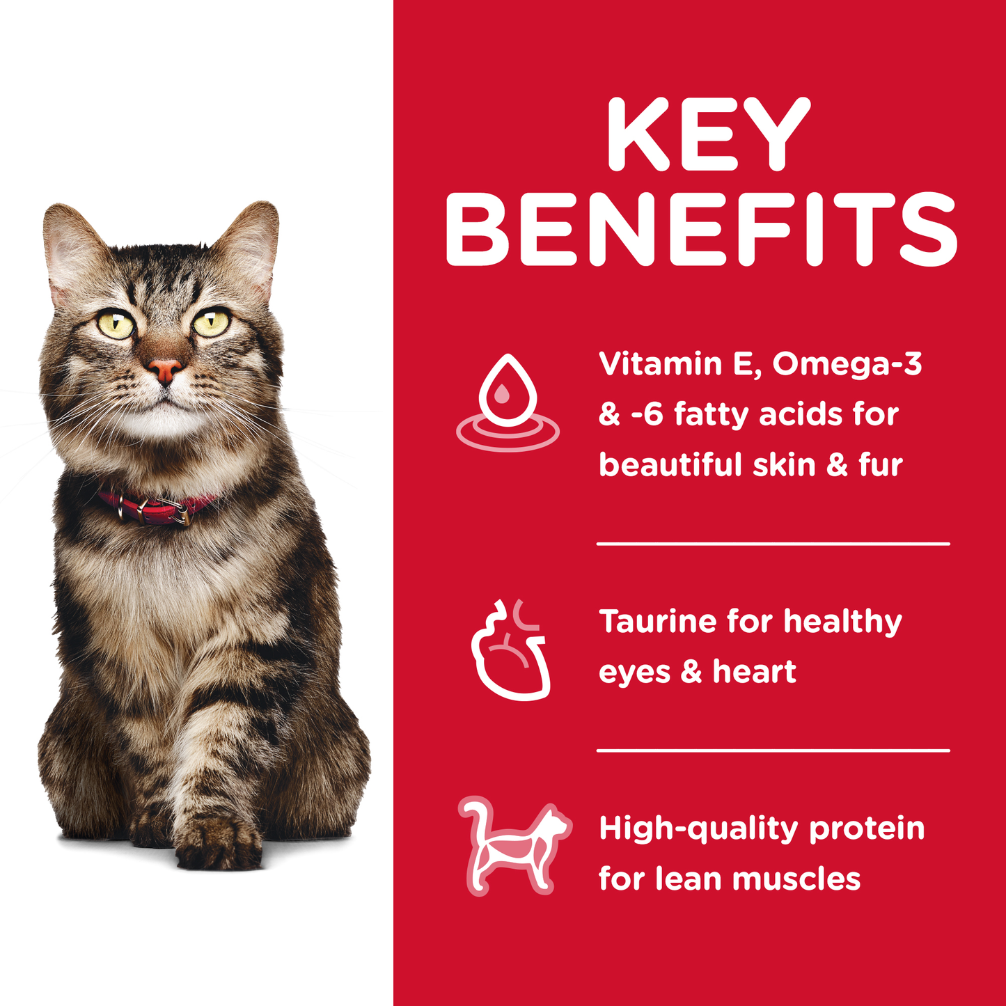 Hills Science Diet Senior Adult 7+ Hairball Control