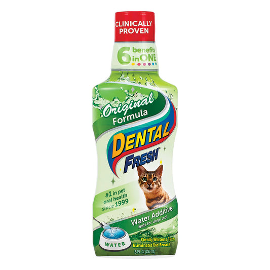 Original Formula - Dental Fresh