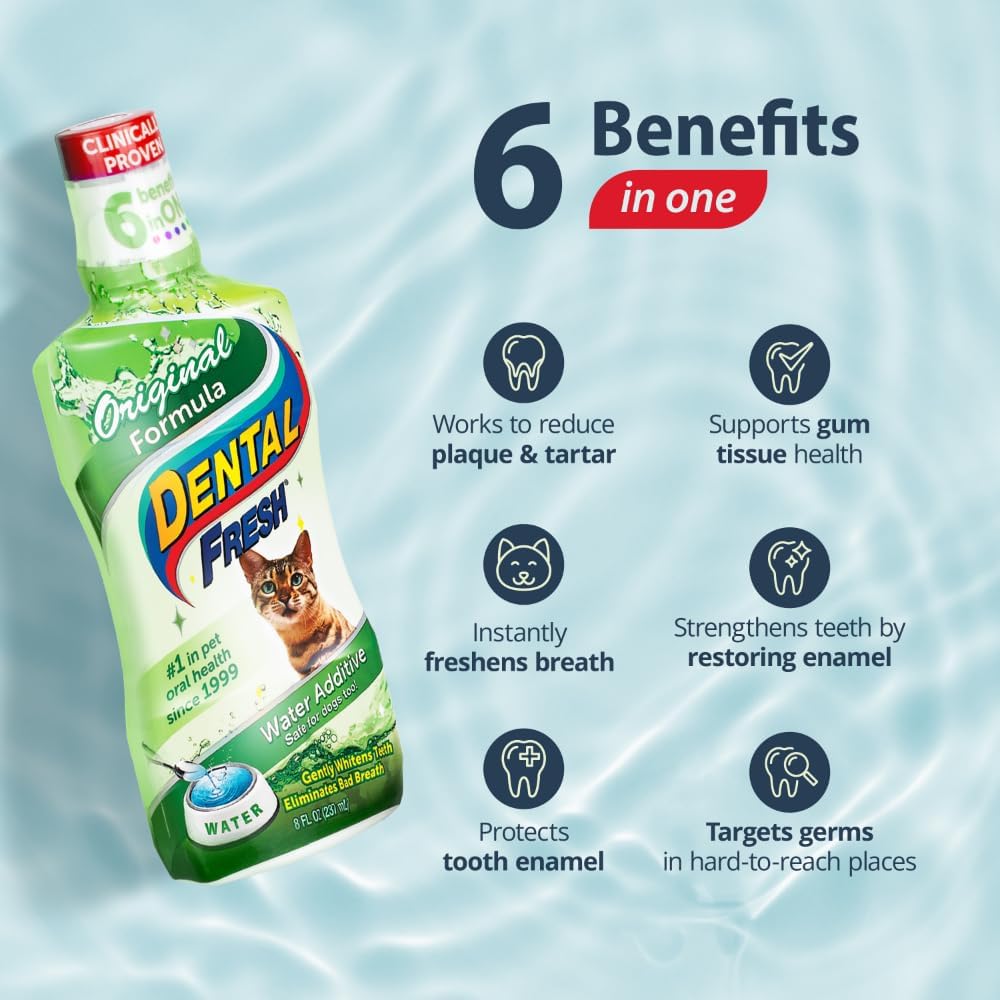 Original Formula - Dental Fresh