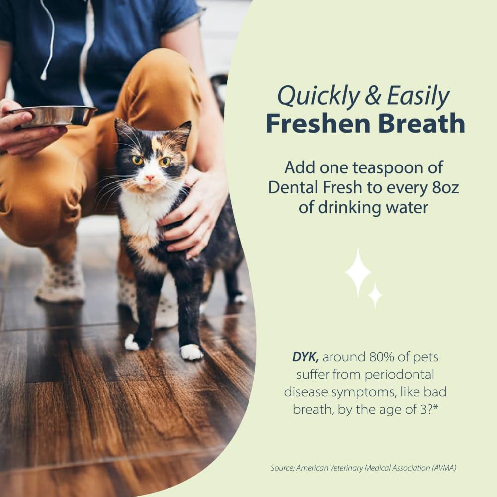 Original Formula - Dental Fresh