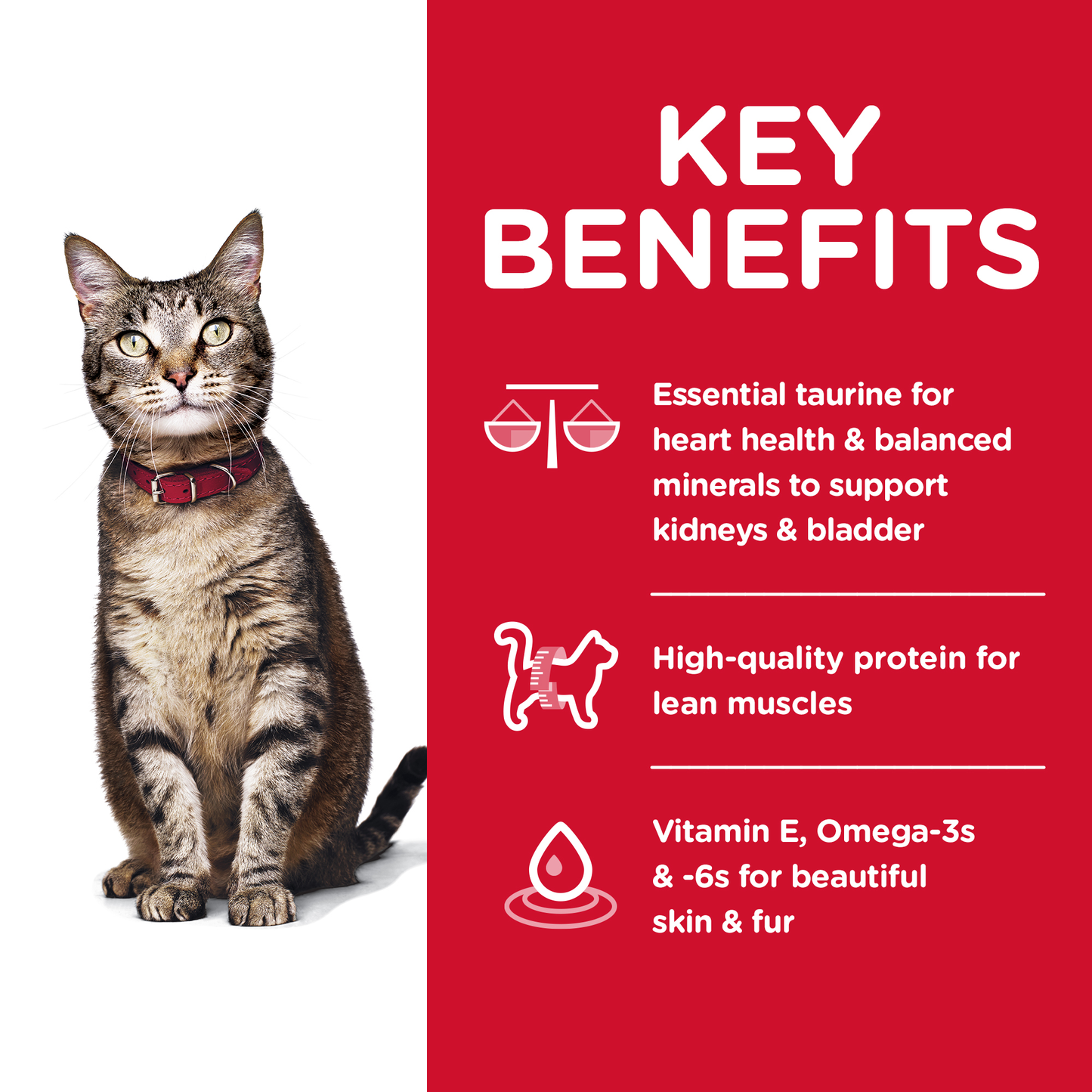 Hills Science Diet Adult 10kg