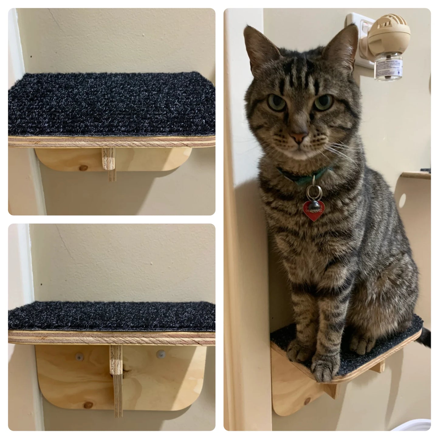 Cat Ledge Step Up Platform Indoor