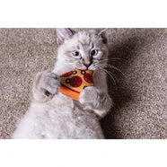 Multi Cat Pizza Toy - One Slice