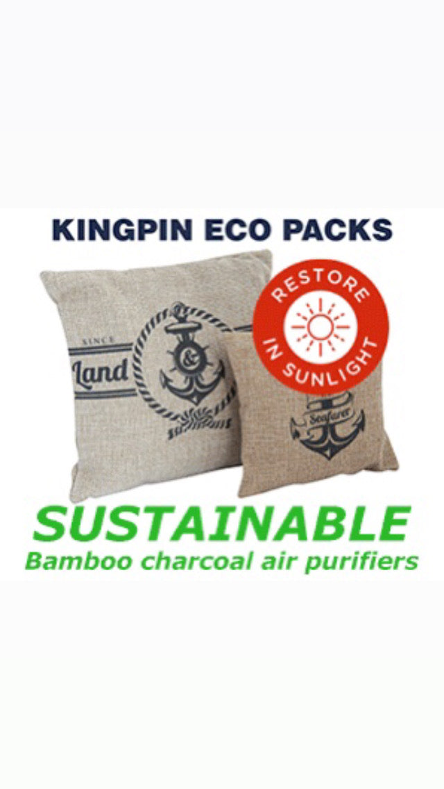 Eco Pack Charcoal Air Purifier