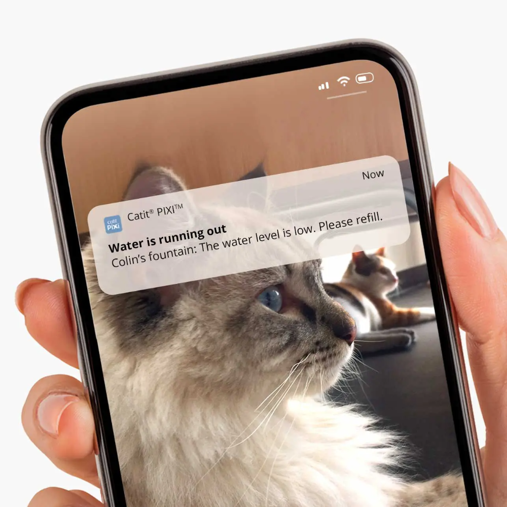 Pixi Smart Cat Drinker