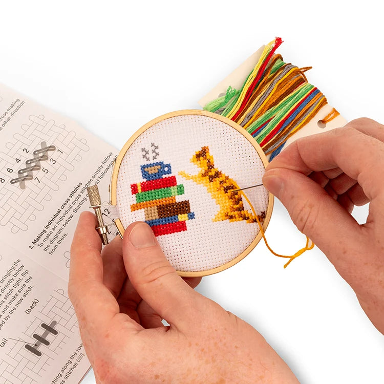 Mini Cross Stitch Embroidery - Cat & Books