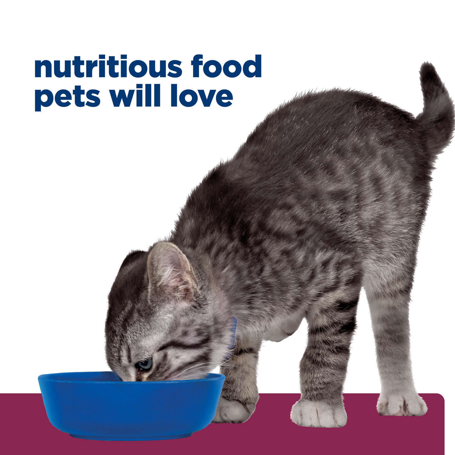 Hills Prescription Diet i/d Kitten 1.8kg