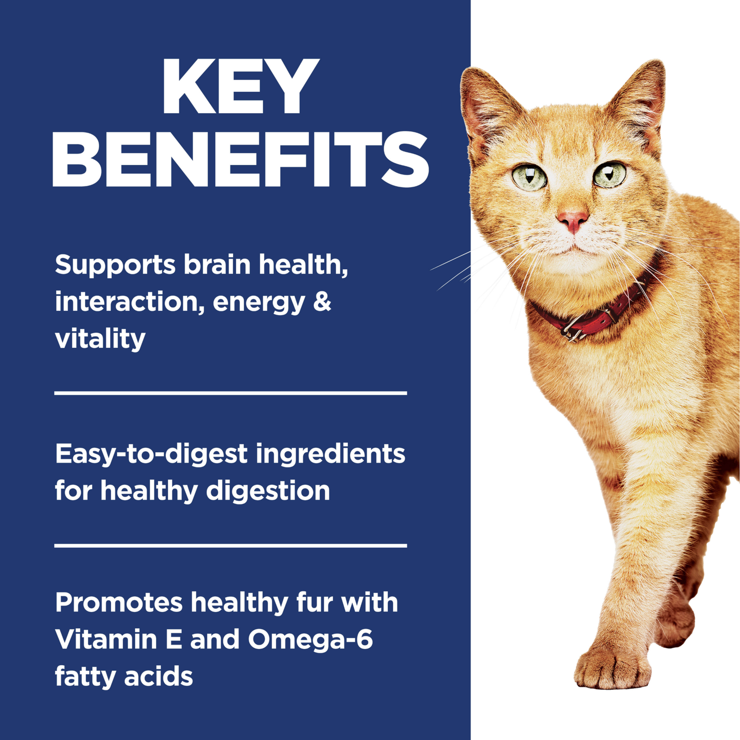 Hills Science Diet Adult 7+ Senior Vitality 1.36kg