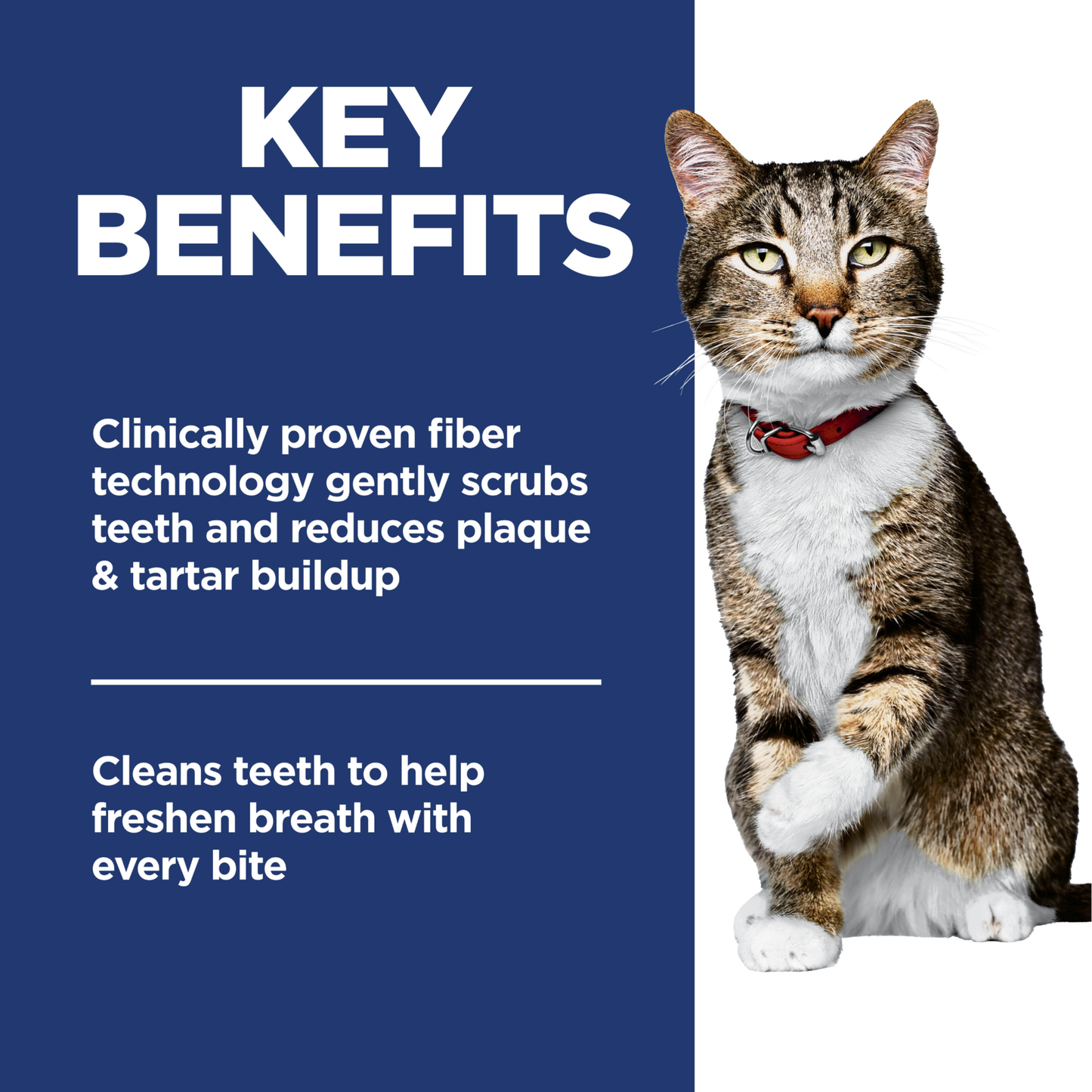 Hills Science Diet Adult Oral Care 2kg