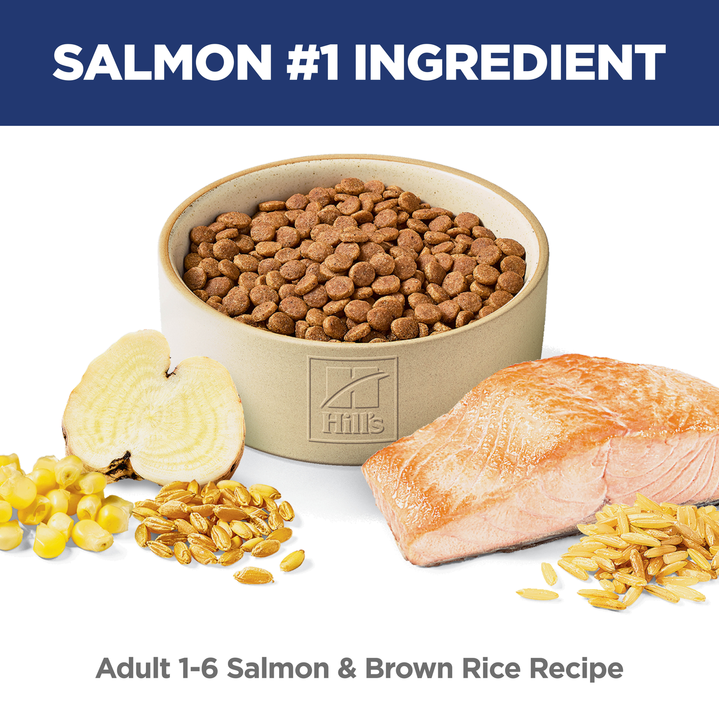 Hills Science Diet Adult Feline Salmon 2.94kg