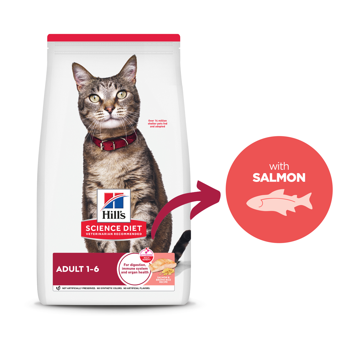 Hills Science Diet Adult Feline Salmon 2.94kg