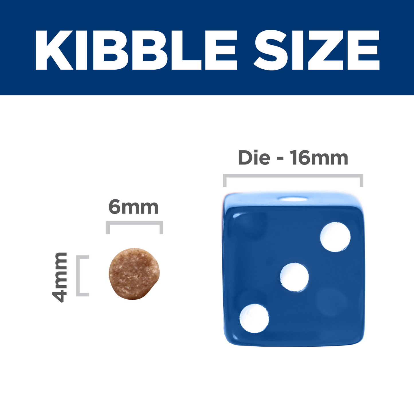 Hills Science Diet Kitten 1.58kg