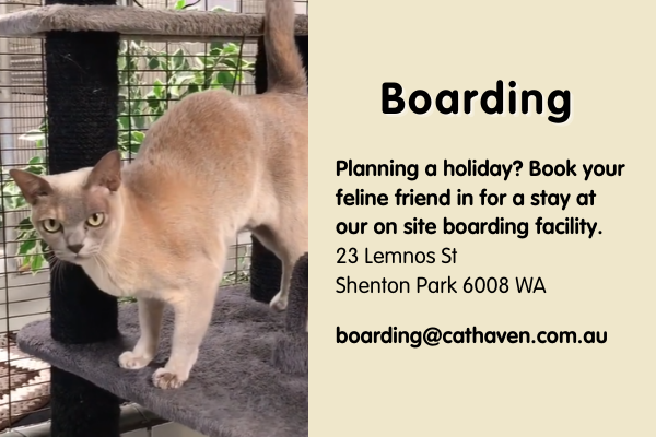 Planning a holiday? Book your feline friend in for a stay at our on site boarding facility.
23 Lemnos St Shenton Park 6008 WA