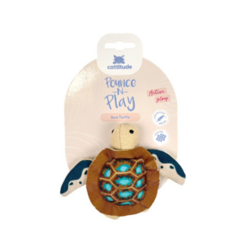 Pounce & Play - Turtle