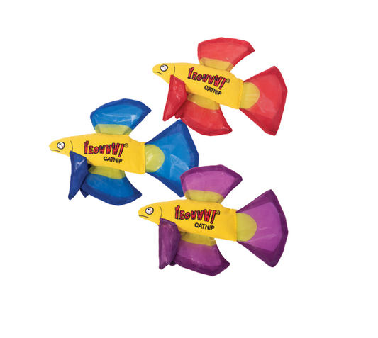 Yeowww! Mo Betta Fish