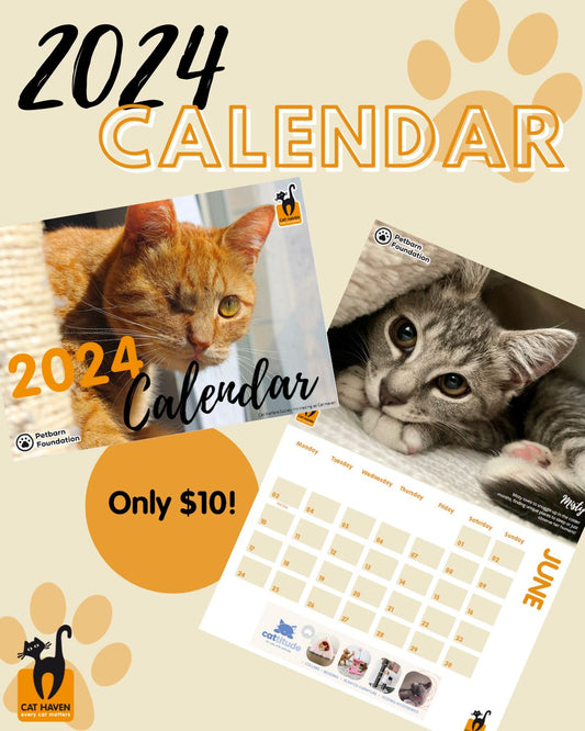 Cat Haven 2024 Calendar