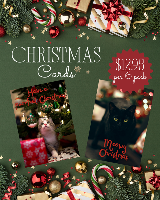 Cat Haven Christmas Cards 6pk