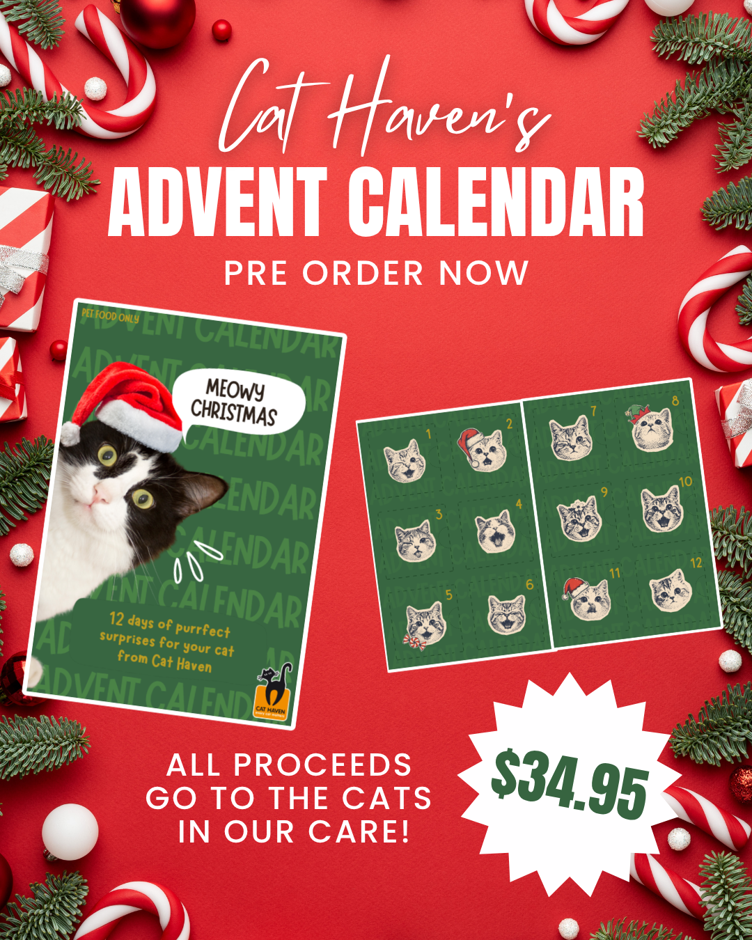 Cat Haven Advent Calendar 2026 - Pre Order
