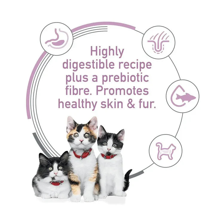 Hills Science Diet Kitten Sensitive Skin and Stomach Salmon 1.58kg