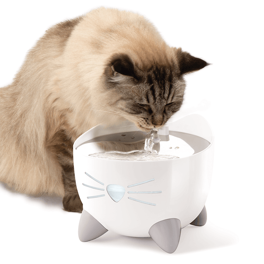 Pixi Smart Cat Drinker