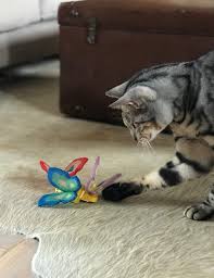 Yeowww Butterfly with Catnip - Blue