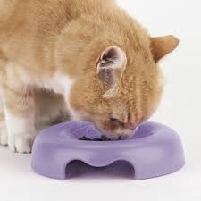 United Pets Kitty Cat Bowl Lilac