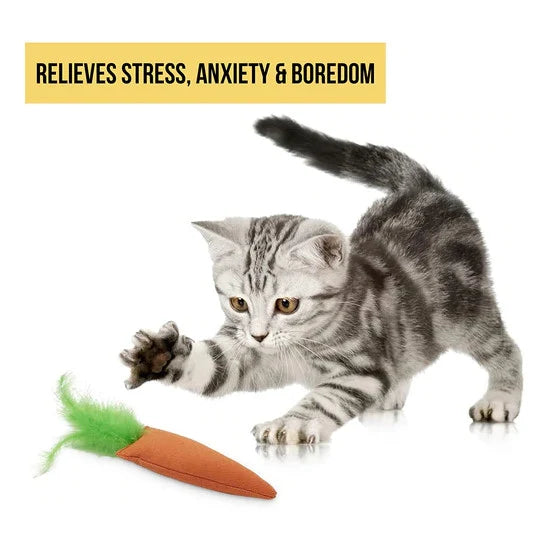 Catnip Filled Carrot Toy