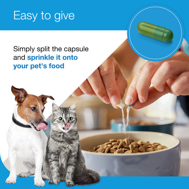 Zylkene Plus 225mg Medium Dog