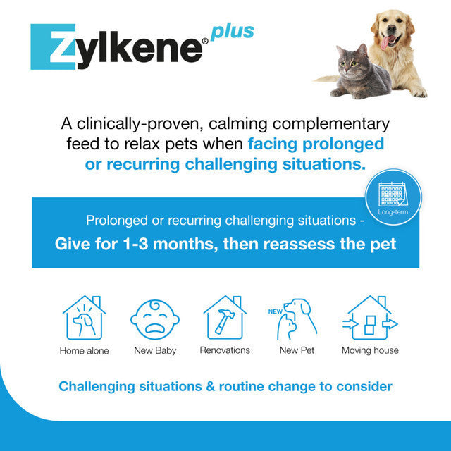 Zylkene Plus 225mg Medium Dog