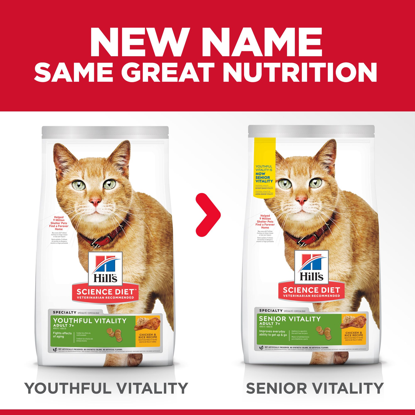 Hill's Science Diet Senior Vitality 7+ - Cat Food