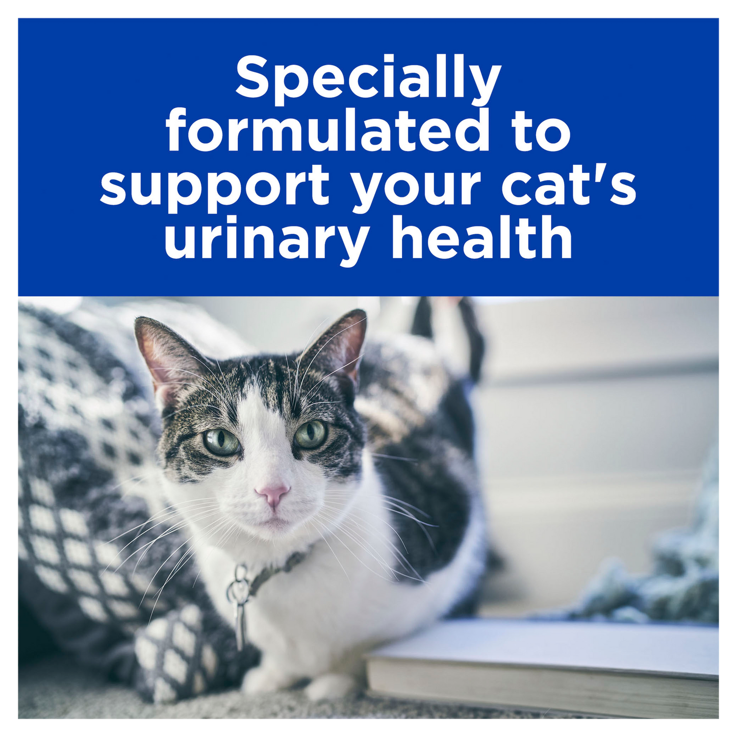 Hill's Prescription Diet Urinary Care C/D Multicare 12x 85g Pouch - Cat Food