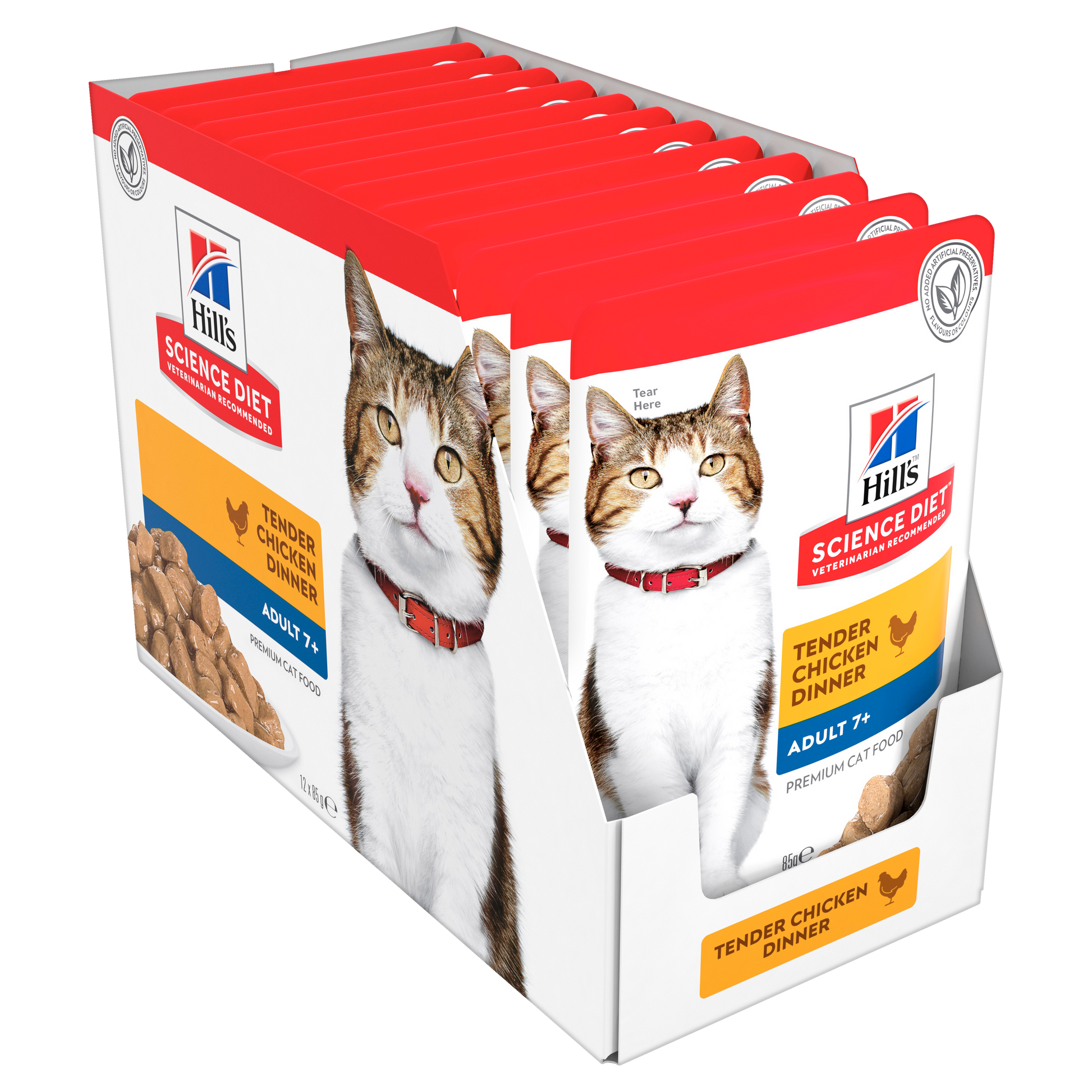 cat toys cat boarding Perth Cat Haven Perth cat food cat