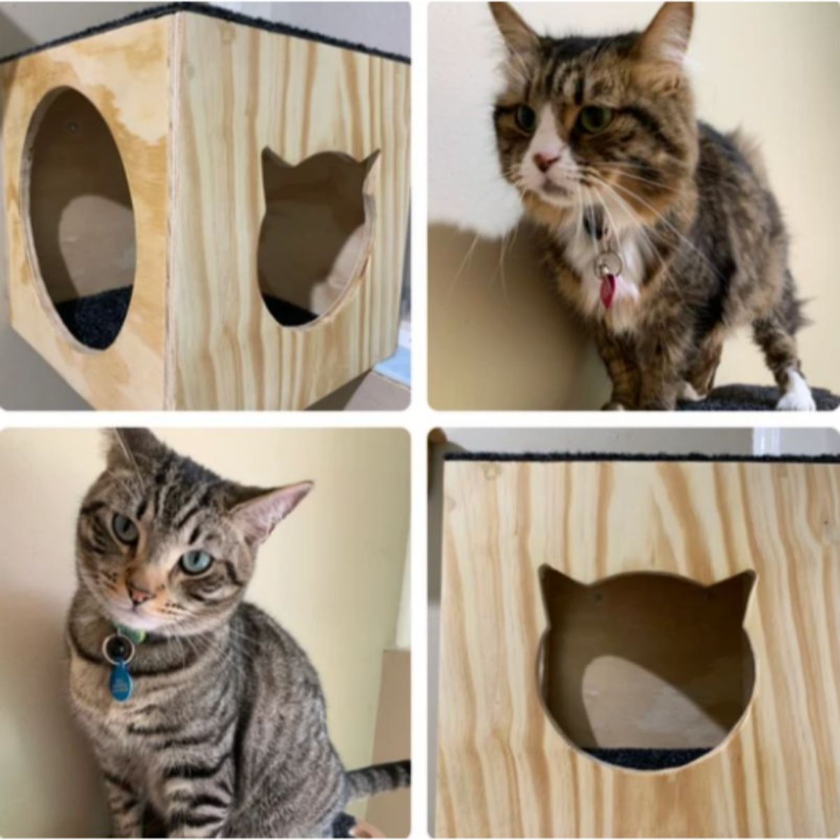 Cat furniture, cat scratchy posts, Cat Haven, Perth